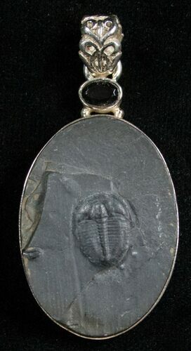 Sterling Silver Elrathia Trilobite Pendant #4868